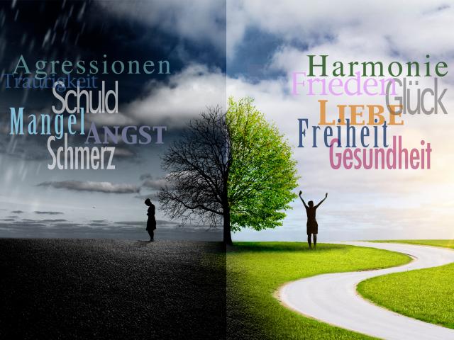 Agression & Harmonie