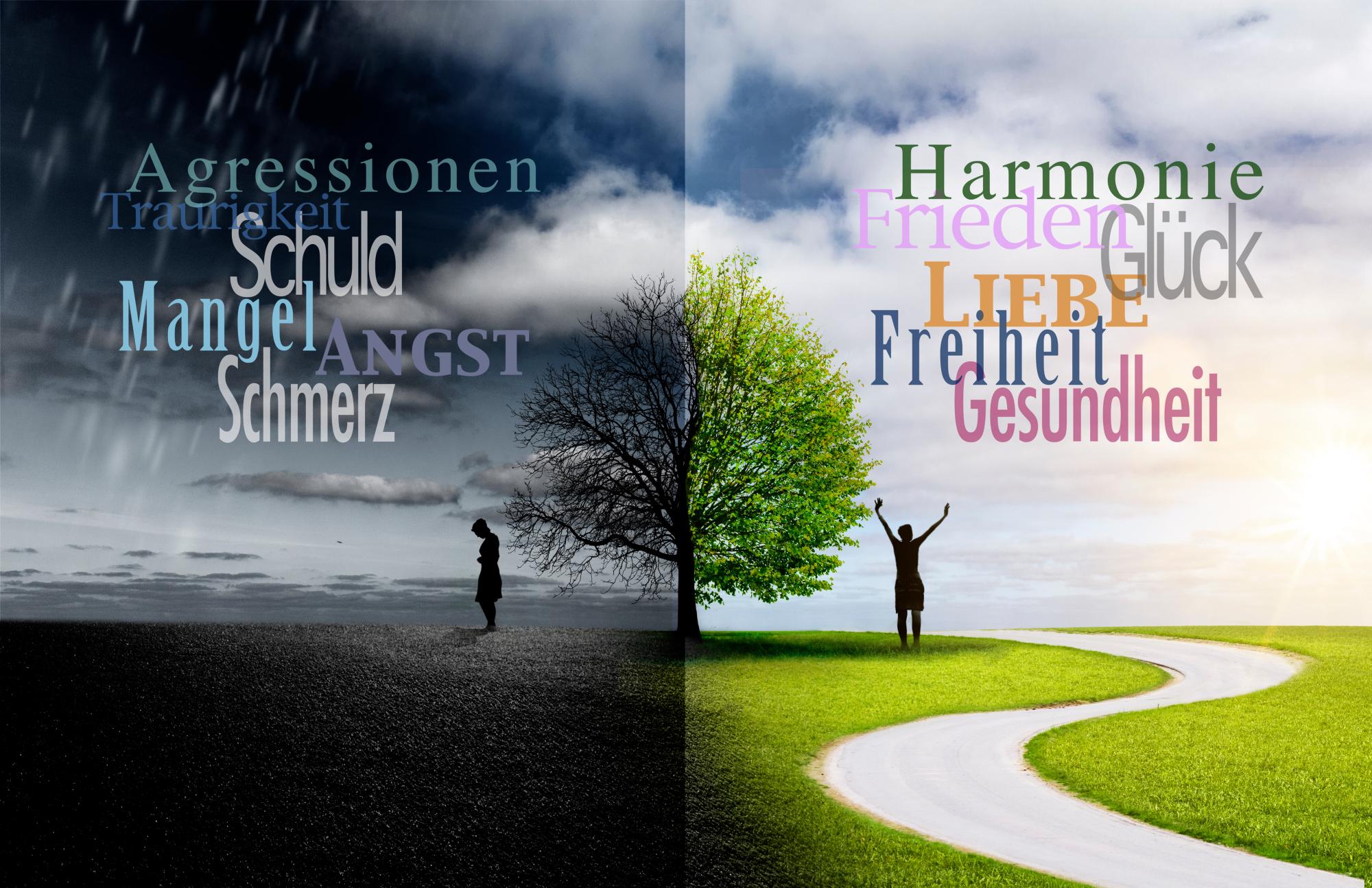 Agression & Harmonie